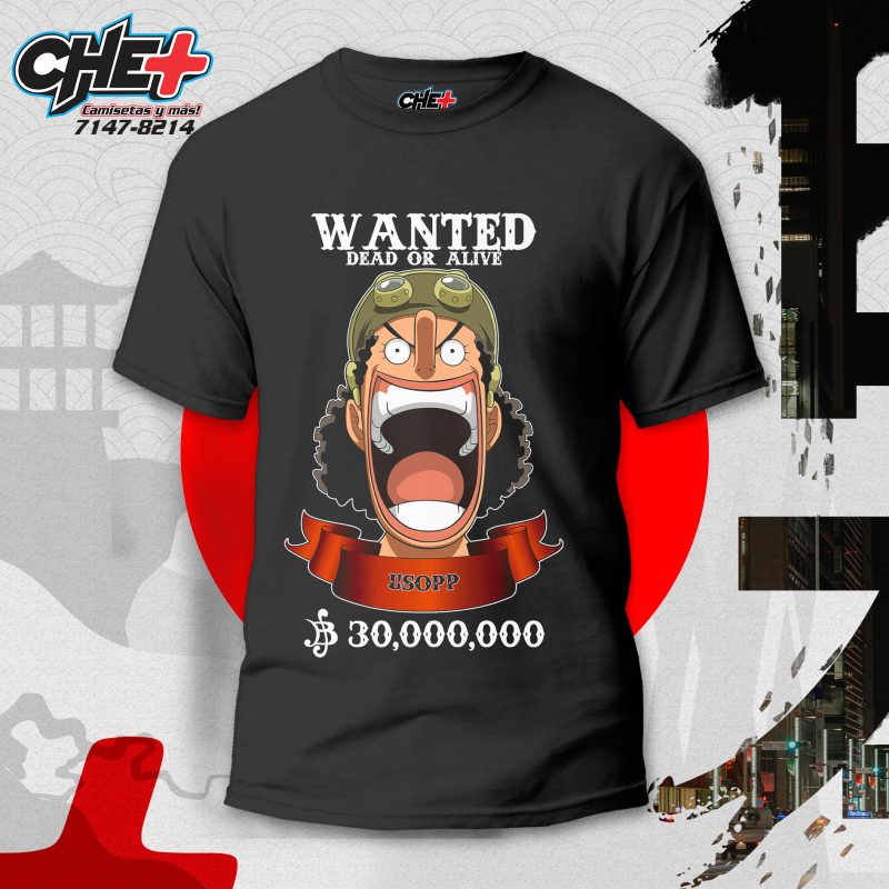 One Piece 027