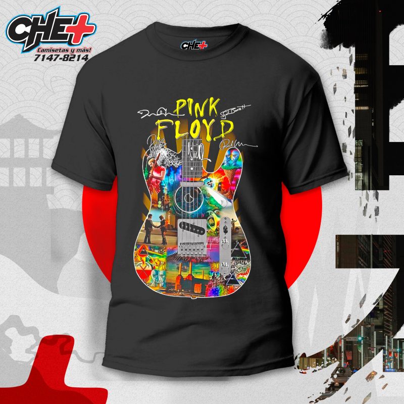 Pink Floyd 01